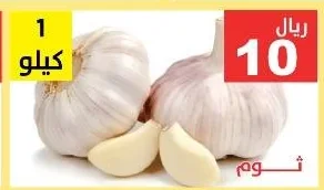 ثوم