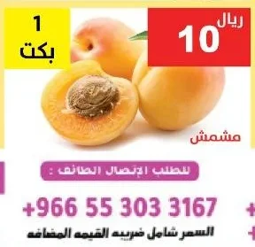 مشمش