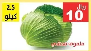 ملفوف محشي