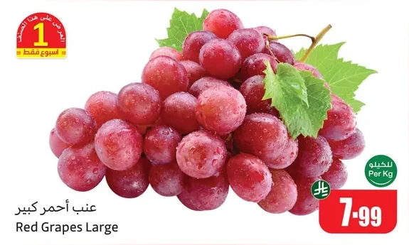 Red Grapes Large