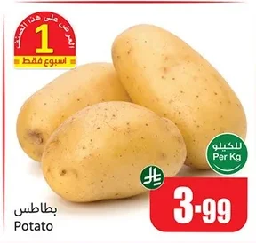 Potato