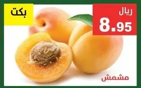 مشمش