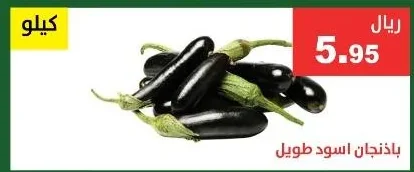 باذنجان اسود طويل