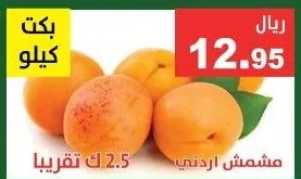 مشمش اردني