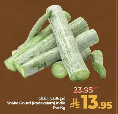 قرع هندي