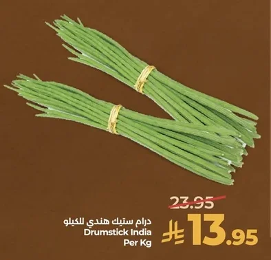 Drumstick India