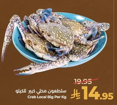 سلطعون محلي كبير للكيلو