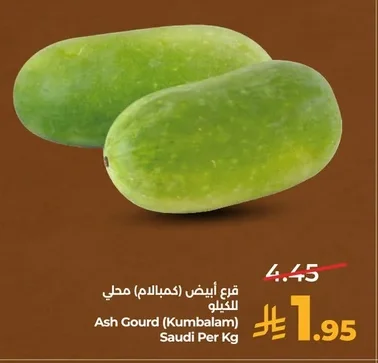 قرع أبيض (كمبالام) محلي