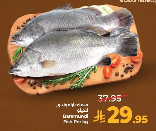 سمك باراموندي