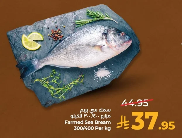 سمك سي بريم