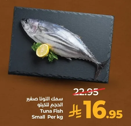 Tuna Fish