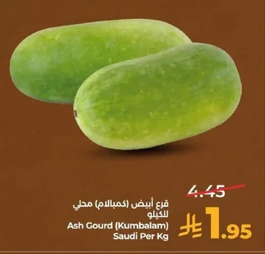 Ash Gourd (Kumbalam) Saudi
