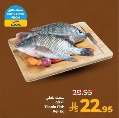 Tilapia Fish