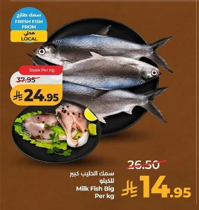 Milk Fish Big