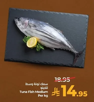 Tuna Fish Medium