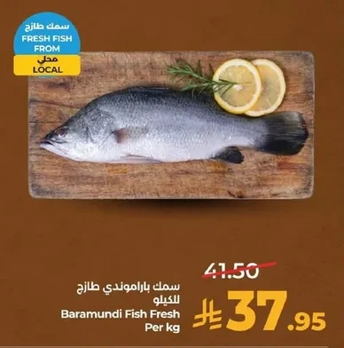 Barramundi Fish Fresh