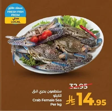 Crab Female Sea