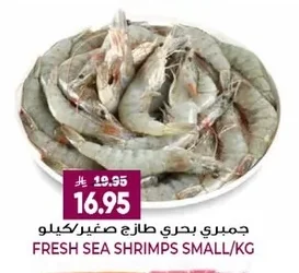 جمبري بحري طازج صغير كيلو