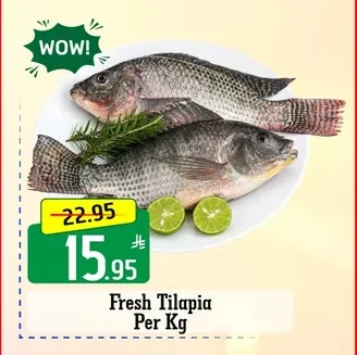 Fresh Tilapia Per Kg