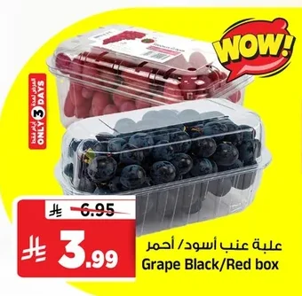 Grape Black/Red box