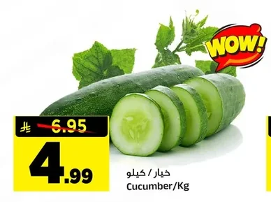 خيار / كيلو
