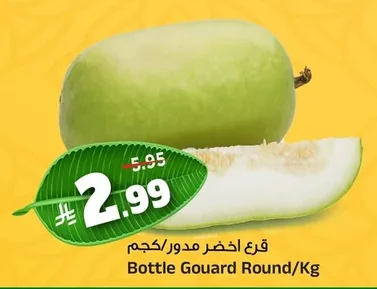 قرع اخضر مدور