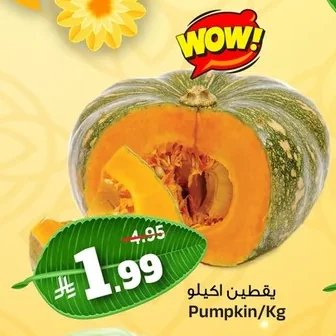يقطين