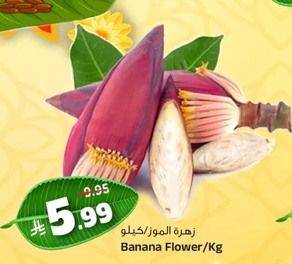 زهرة الموز