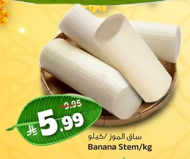 ساق الموز