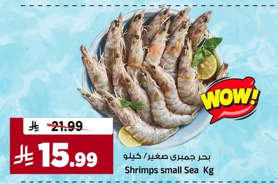 بحر جمبري صغير