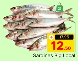 Sardines Big Local