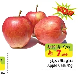 Apple Gala /Kg