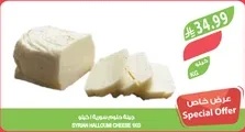 SYRIAN HALLOUMI CHEESE