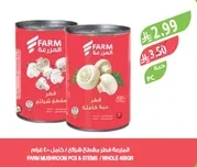 فطر