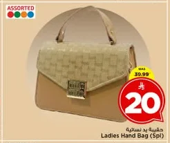 Ladies Hand Bag (Spl)