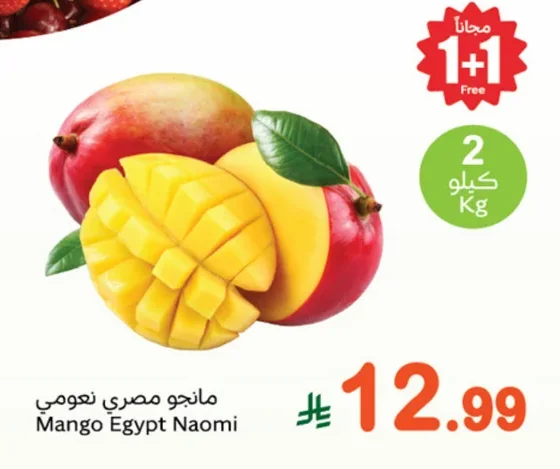 Mango Egypt Naomi