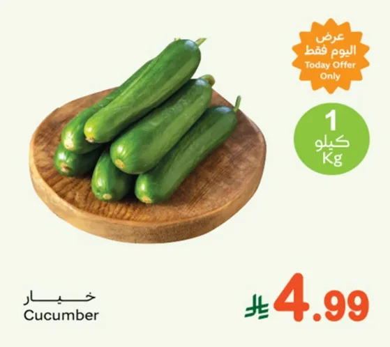 Cucumber