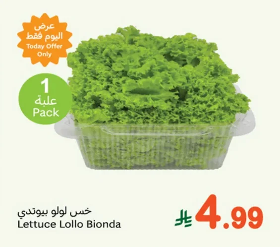 خس لولو بيوندي