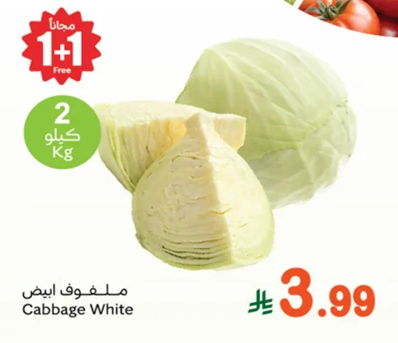 ملفوف ابيض
