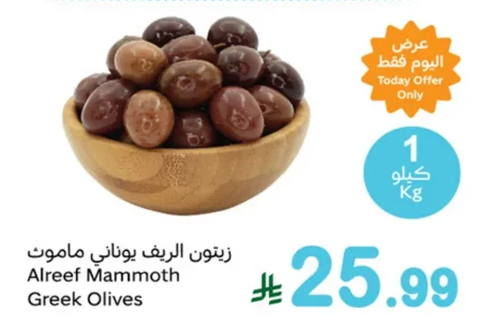 زيتون الريف يوناني ماموت