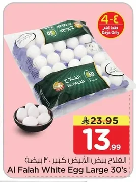 الفلاح بيض أبيض كبير