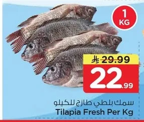 Tilapia Fresh Per Kg
