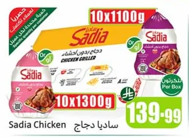 ساديا دجاج