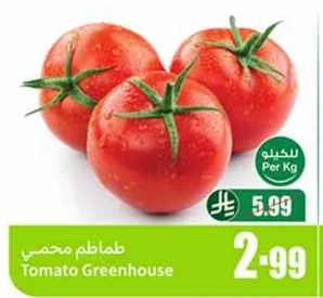 طماطم محمي
