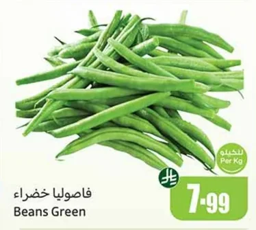 Beans Green