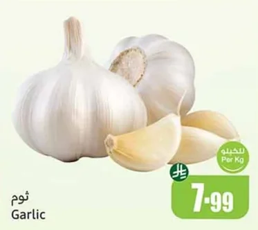 Garlic