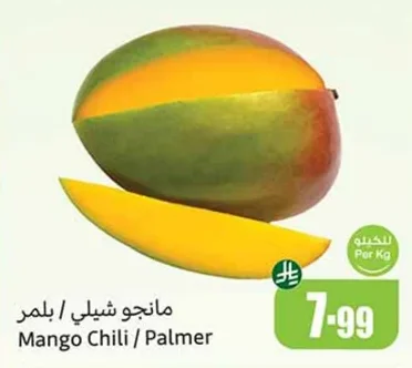 مانجو شيلي / بالمر