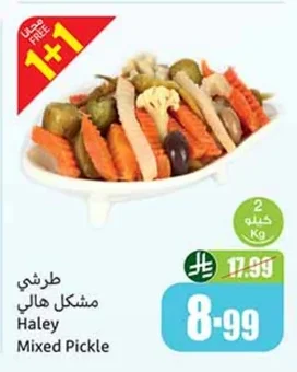 Haley Mixed Pickles