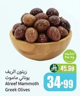 زيتون الريف يوناني ماموث