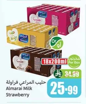 Strawberry Milk